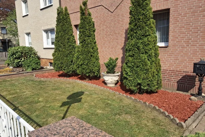 Gepflegter Vorgarten mit Koniferen und Rindenmulch